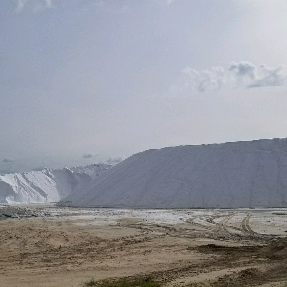 Meet your Posher, Rita